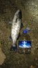 IMG-20171121-WA0016.jpg
