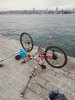IMG_20181211_173143.jpg