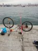 IMG_20181211_173137.jpg