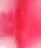 304E9F4E-9595-4D88-ADB1-A98493EE8ECC.jpeg 304E9F4E-9595-4D88-ADB1-A98493EE8ECC.jpeg