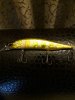 20190125_232514.jpg