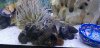 20190131_184838.jpg