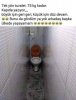 wc.jpg