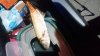 thumbnail_DSC_0442.jpg thumbnail_DSC_0442.jpg