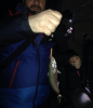upload_2019-5-2_9-3-28.png upload_2019-5-2_9-3-28.png