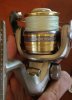 exage.jpg