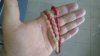 IMAG0810.jpg
