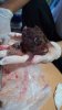 IMG-20190622-WA0018.jpg