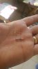20190630_110320.jpg 20190630_110320.jpg