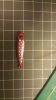 IMG-20181123-WA0010.jpg IMG-20181123-WA0010.jpg