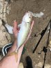 7AB7E54E-9DEE-44AA-94E8-A7ED04600D48.jpeg