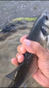 9AE6132C-476C-4771-98E8-3C74879D630B.png