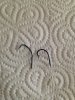 IMG_4361.JPG