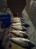 IMG_20190921_040226.jpg
