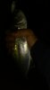IMG-20190910-WA0006.jpeg