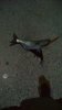 IMG-20190905-WA0006.jpeg