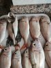 IMG_20191002_125627.jpg