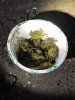 IMG-20190921-WA0012.jpg IMG-20190921-WA0012.jpg