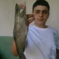 enes183
