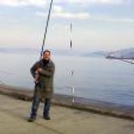tarikayfe