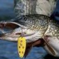Esox