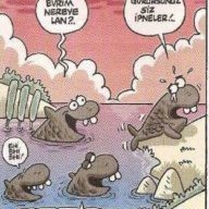 Ateş