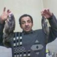 gecekurdu67