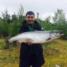 comboyluk