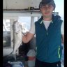 Bulut35
