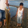 Ergin12