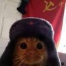chavez
