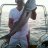 ibrahim6360