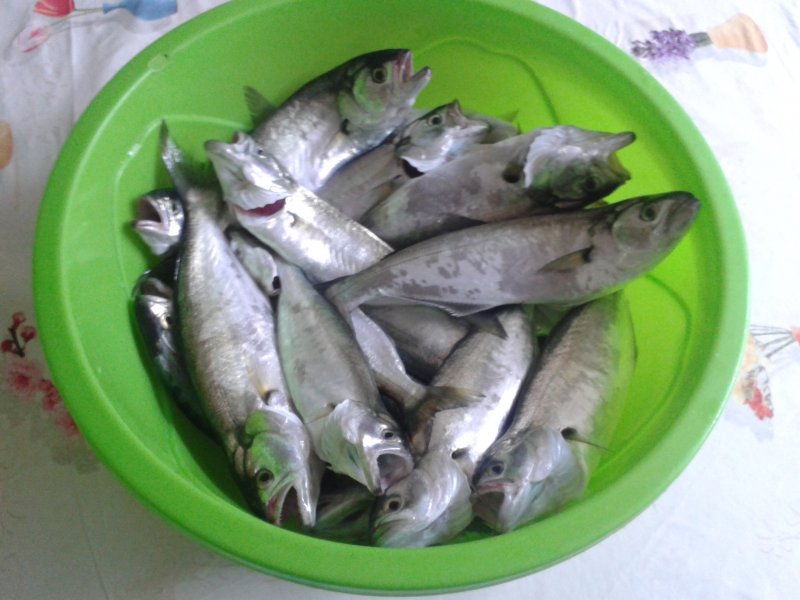 20141207_144604.jpg