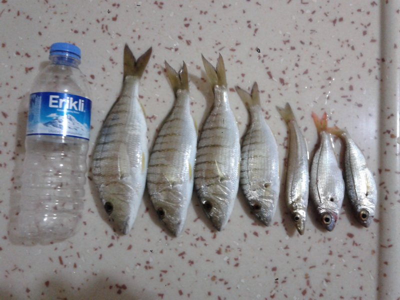 20150325_024839.jpg