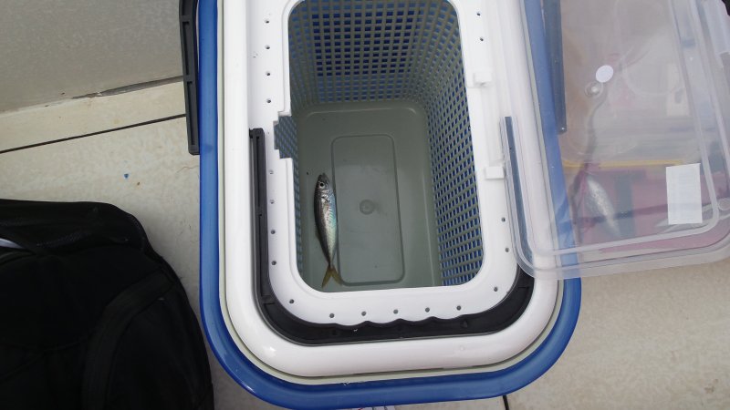 20150405_103436.jpg