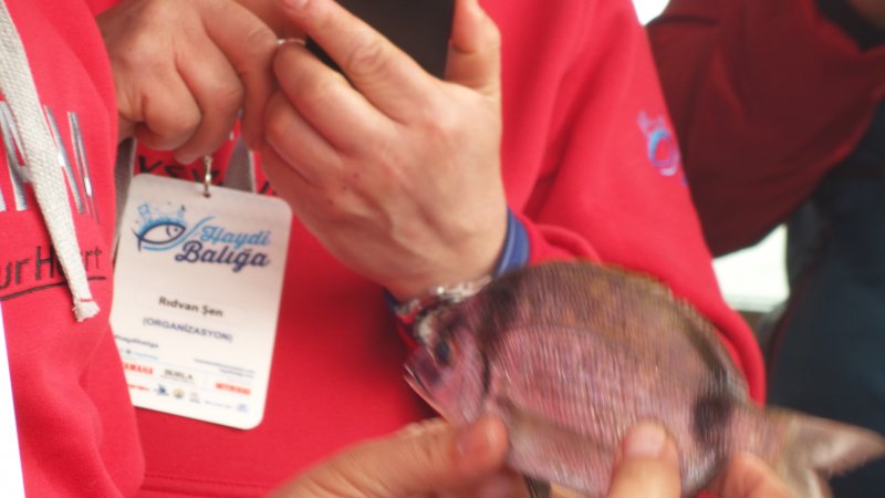 20150405_145332.jpg