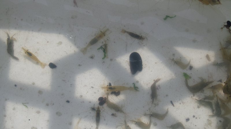 20150628_103712.jpg