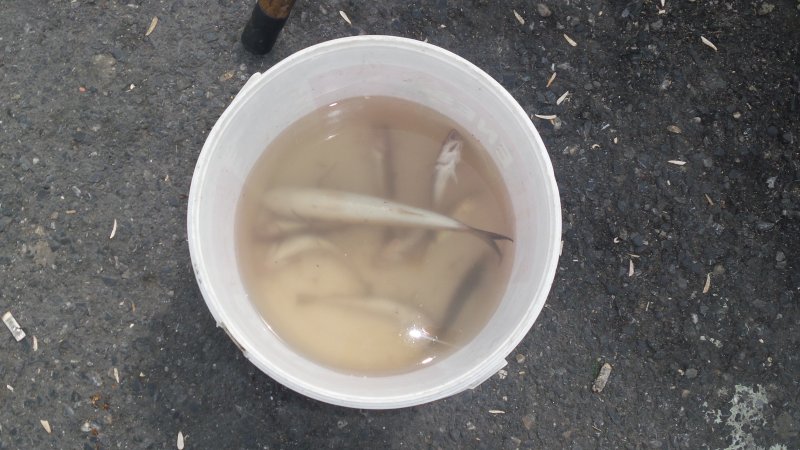 20150628_103849.jpg