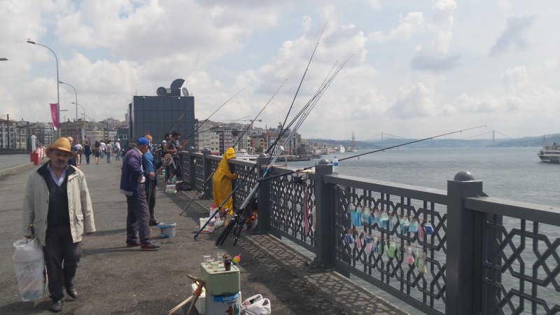 20150628_103911.jpg