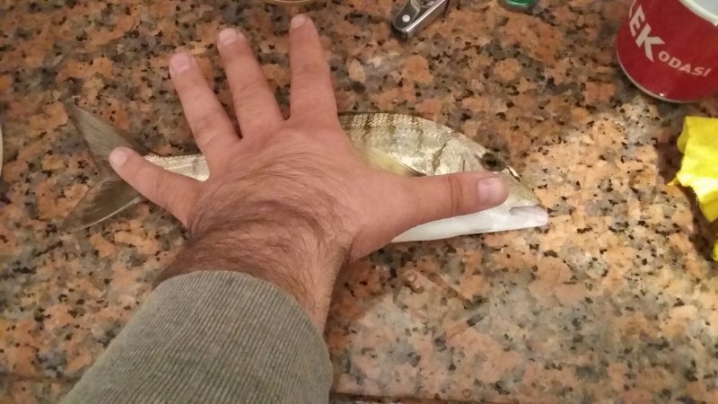 20161009_021421_resized.jpg
