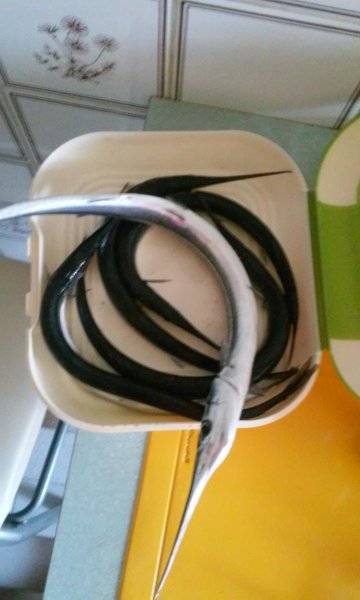 20161009_115133.jpg