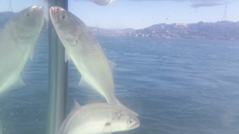 20170322_120518.jpg