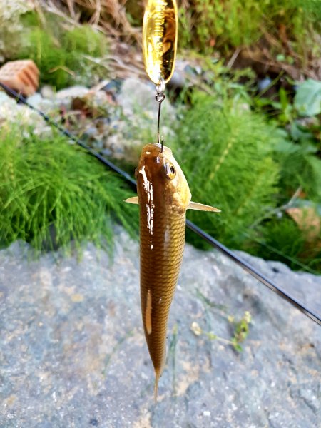 20170512_165610.jpg