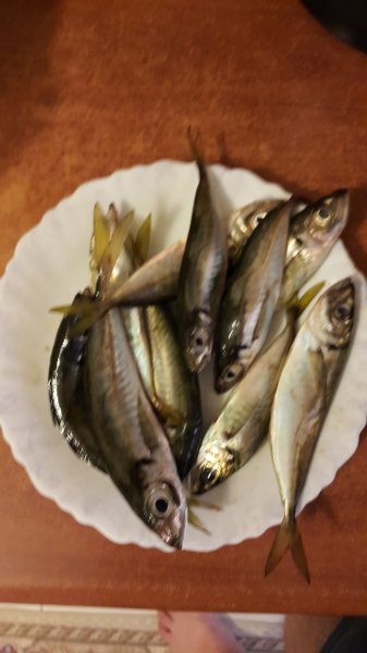 20170804_201437.jpg