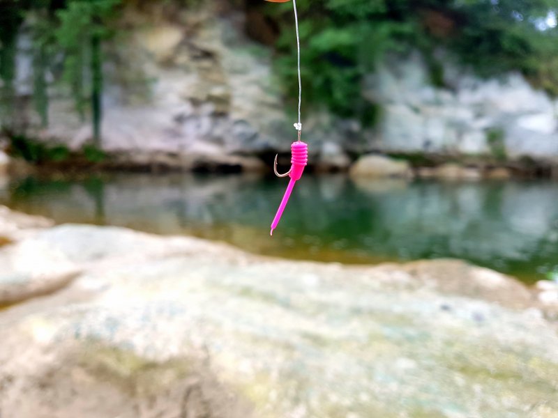 20170819_180227.jpg