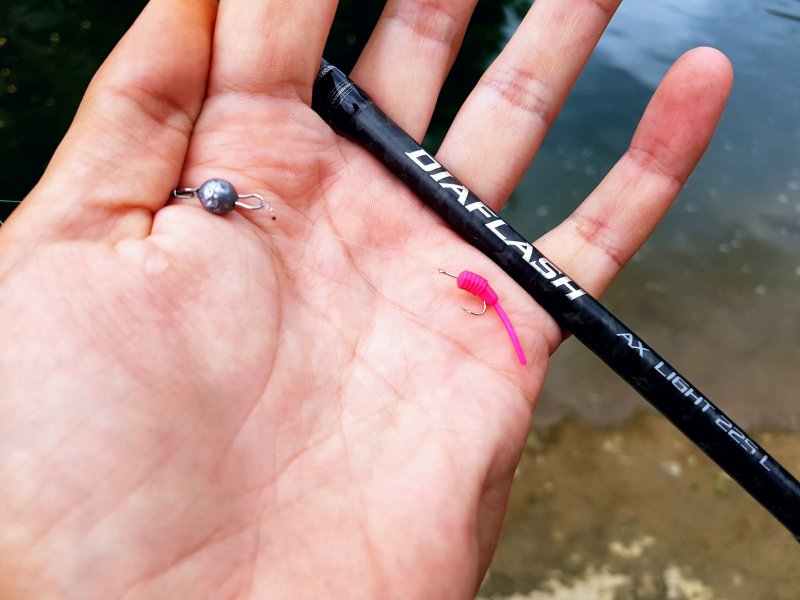 20170819_180339.jpg