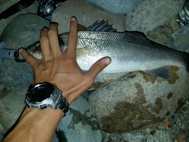 20170916_213959.jpg