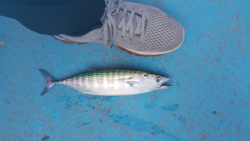 20170928_103720.jpg