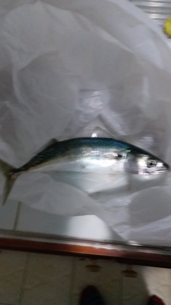20171001_182818.jpg