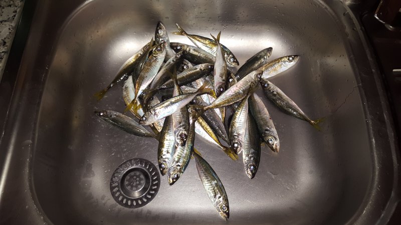 20171111_232925.jpg